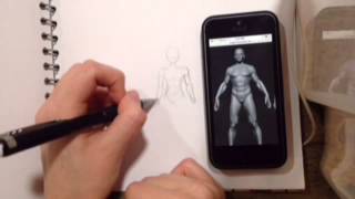 How I did the anatomy...