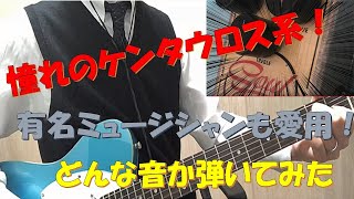 バッカスのテレキャスターでエレハモ ソウルフード(Soul Food)弾いてみた【ケンタウロス系】