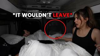 People That Encountered The Unexpected in The Forest