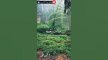 ما تيسر من سوره (القلم)| القارئ#سالم_الرويلي |حالات واتس قران.  تلاوه تخشع فيها القلوب ❤