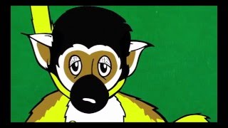 808 Skate Brass Monkeys