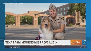 Texas A&M mourns Miss Reveille IX