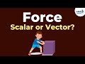 Forces in Motion and the Role of Balance in Physics