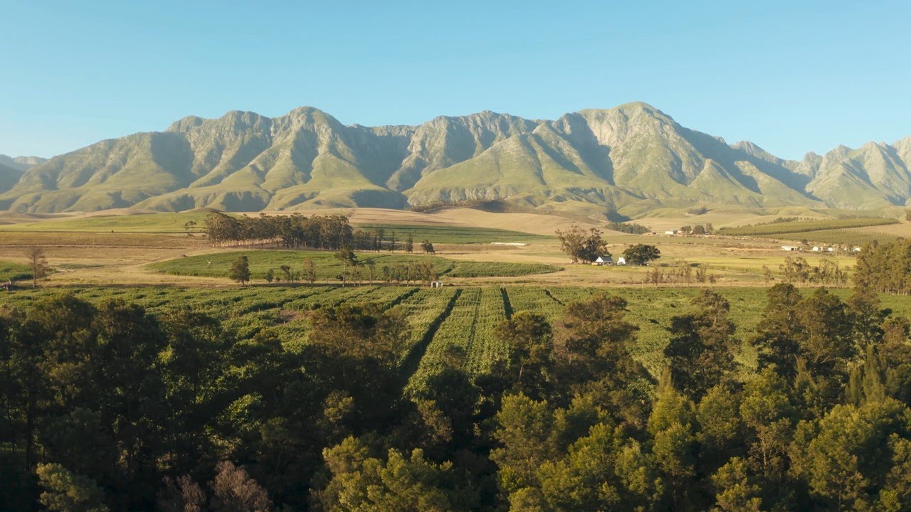 Música relajante / Relax / Wine 