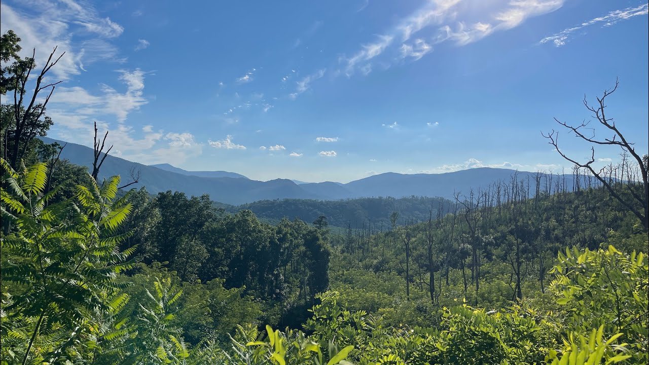 The Roaring Forks Motor Nature Trail in Gatlinburg