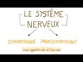 Neurosciences en dessins  systme nerveux sympatique et parasympathique