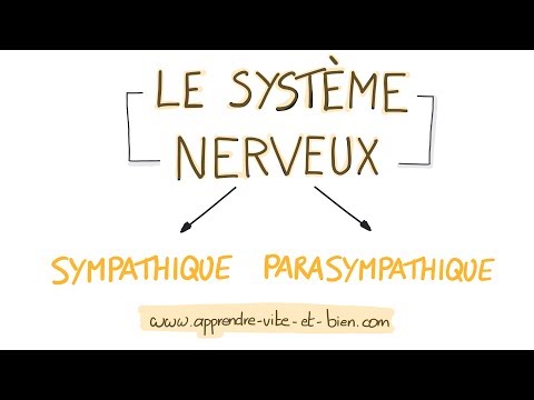 Vidéo: Qu'est-ce que ça veut dire sympathique ?