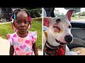 Dog starts shoving 3yearold away then dad looks down and realizes he just saved her life