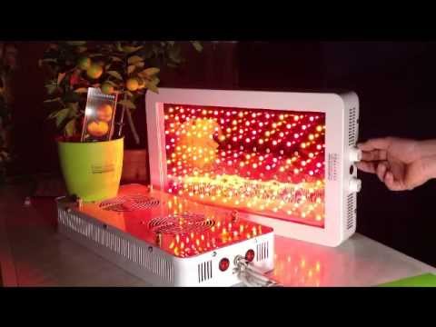Video: Fytolampy Pro Kutily: Jak Vyrobit Lampy Pro Rostliny Z LED? Mistrovská Třída Ve Výrobě LED žárovek. Funkce Nastavení Podsvícení