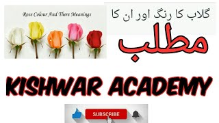 5 Rose color and their meaning | گلاب کا رنگ اور مطلب