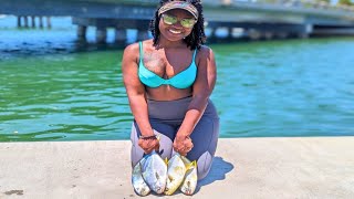 Pompano CAN'T Resist This LURE! CRAZY Bites Under This Tampa Bay Bridge!! 🔥🔥