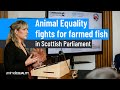 Animal Equality UK Demands Stronger Legal Protections for Farmed Fish at Scottish Parliament