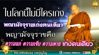 🔴ในโลกนี้มัจจุราชเก่งคนเดียว ความแก่ เจ็บ ตาย เก่งคนเดียว : หลวงสนอง กตปุญโญ 13/09/66