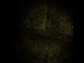 The centipede came out of nowhere #cloudsgorillahorror #gtaghorror #gorillatag