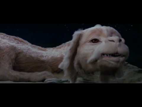 Falkor Likes Children