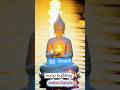 बुद्ध चेतावनी कल करुगा।#motivation#short#buddha#buddhastory#youtubeshorts