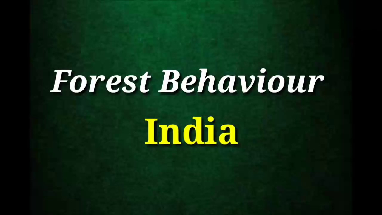 Dehing Patkai, Assam | Forest policy & EIA explained by Traveling Poet Aakash