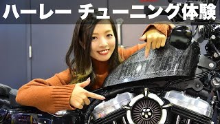 【試乗】ハーレーのチューニング車両を乗り比べしたら別物すぎ！WITH HARLEY取材・Harley-Davidson フォーティーエイト【モトブログ】