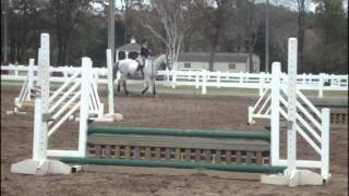 Lesson 10/26
hi
this is cricket
hes super green and doesnt really know how to jump so thats why we like trot everything lololol Lesson 10/26