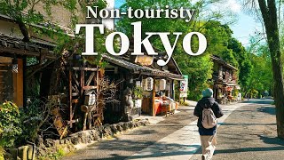 Escape to Rural Tokyo in 40 Min: Jindaiji Temple \u0026 Food Travel Vlog