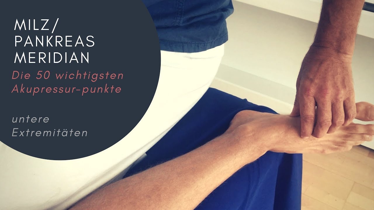 Milz / Pankreas - Meridian - Die 50 wichtigsten Akupressurpunkte - Kursbegleitende Tutorials