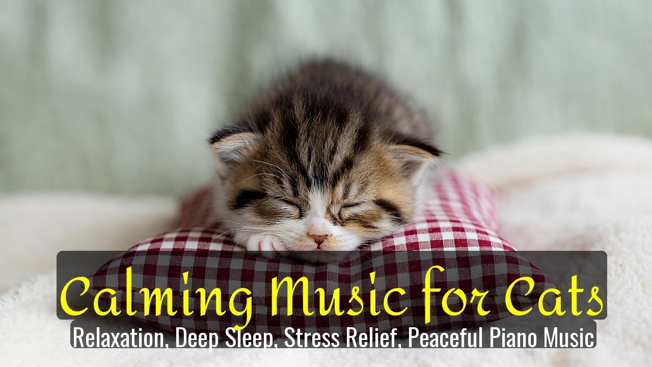 Calming Music for Cats - Relaxation, Deep Sleep, Stress Relief, Peaceful Piano Music | Season 59