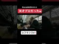【Instagramで900万再生】日本人女性の演奏にフランス人が衝撃...『We Will Rock You /QUEEN』を連弾したら…【パリ駅ピアノ】 #shorts