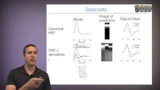 Principles of fMRI Part 1, Module 18: Model Building II – temporal basis sets
