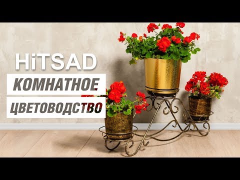 Комнатное цветоводство 🌸 советы цветоводам