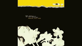 Hope Sandoval & The Warm Inventions - On the Low - YouTube