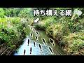 【前編】魚だらけの川で大量捕獲を狙え!追い込み大作戦【ガサガサで捕獲した餌で釣り対決】