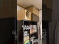 【ポン太の日常その1】ママの料理を見守るポン (The daily life of a couple and owl)