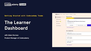 Celebrity The Learner Dashboard | Codecademy Teams Profile