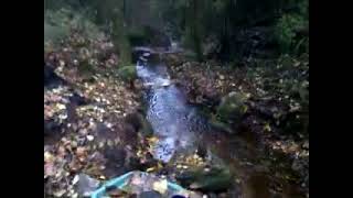 Homemade Dam With Waterwheel And Alternator For Power.