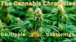 The Cannabis Chronicles With Da.Hippie & Doktor High