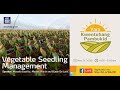 Vegetable Seedling Management