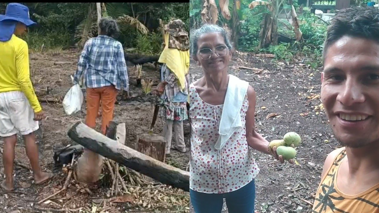 FAZENDO DOCE DE MANGA COM A MINHA MÃEZONA/ PLANTANDO MANIVA COM A FAMÍLIA/ VIDA RIBEIRINHA