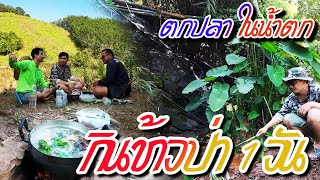 หาอยู่หากิน ตกปลาน้ำตก หาวัตถุดิบ กินข้าวป่าในหุบเขา #ตกปลา #กินข้าวป่า