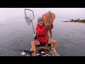 MEGA Squid Caught Kayak Fishing!