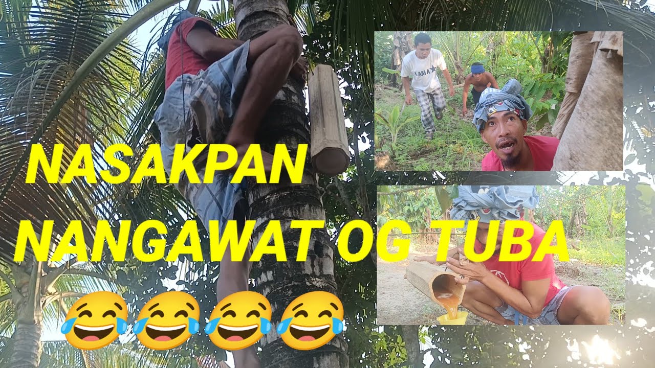 NANANGKO OG TUBA _ BISAYA COMEDY YouTube