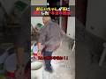 孫を怒鳴ったおじいちゃんの本心とは？