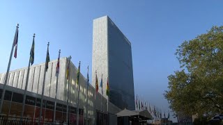 Diplomats voice support for China's Global Security Initiative proposal