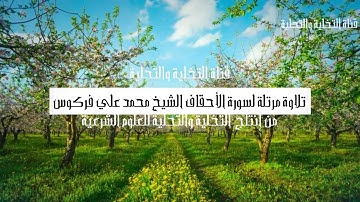 الشيخ محمد علي فركوس حفظه الله - تلاوة لسورة الأحقاف.