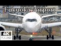 福岡空港 2021/3/5 Plane Spotting at Fukuoka Airport