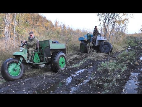 Каракат своими руками из муравья видео