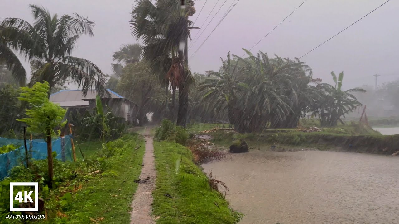 [4k]Heavy Rain Walk in Village Life | Walking in the heavy rain ...