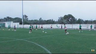 Passing drill - from both sides