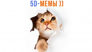 видео: 5D-мемы. ПУСТИТЕ ПОРЖАТЬ! ))) Приколы | Мемозг 1456 картинка: 5D-мемы. ПУСТИТЕ ПОРЖАТЬ! ))) Приколы | Мемозг 1456