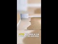 Why Waiting After Water Damage Costs You More Money #shorts