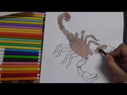 تعليم الرسم للاطفال رسم عقرب بطريقه سهله وبسيطه للمبتدئين 